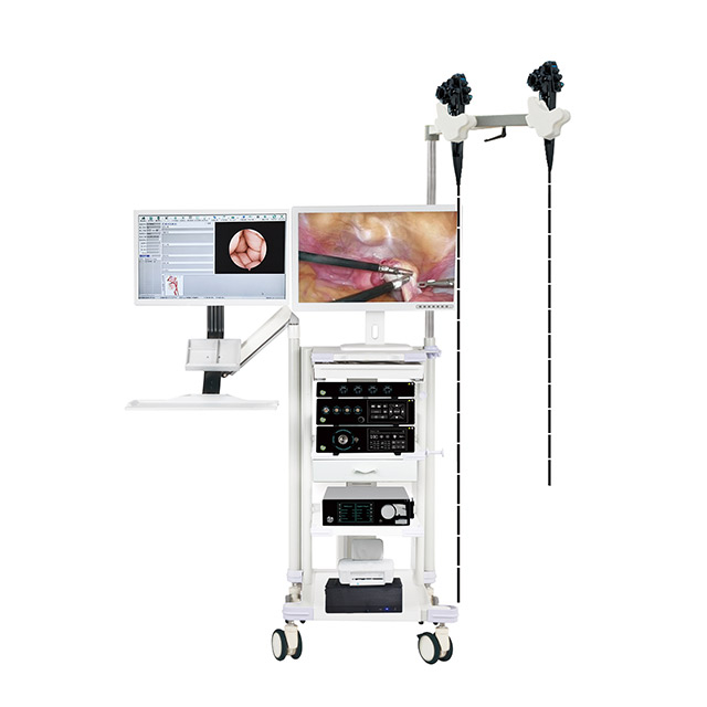 Equipo electr&oacute;nico de gastroenteroscopia con estaci&oacute;n de trabajo.