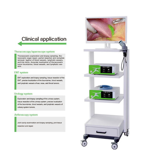  Sistema di telecamere endoscopiche a fluorescenza Medical Pet 4K
