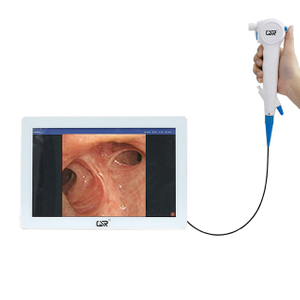 Almohadilla y endoscopio flexible