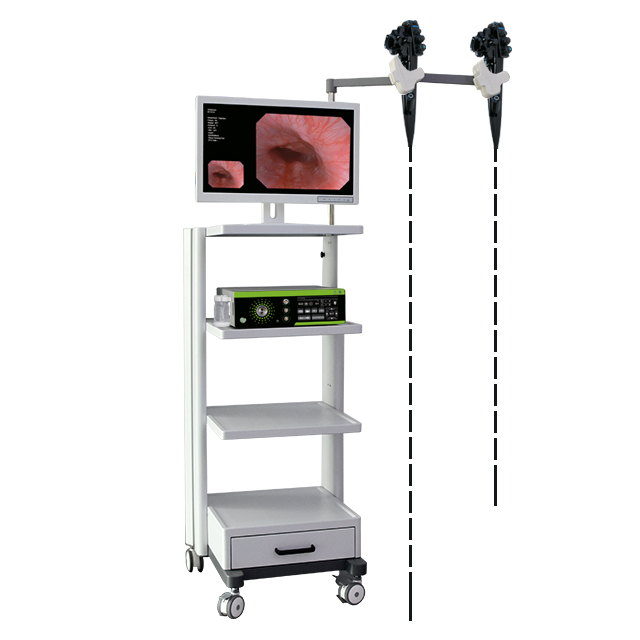 Sistema Endoscopico Veterinario per Gastroscopio Colonscopio