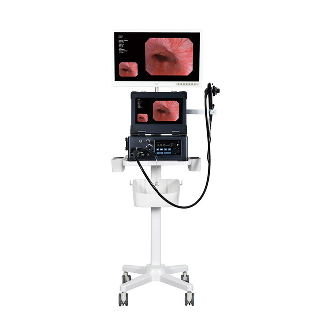 M&aacute;quina integrada port&aacute;til de gastroscopia y colonoscopia electr&oacute;nica port&aacute;til de 13,3 pulgadas