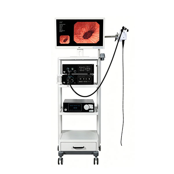Gastroscopie &eacute;lectronique haute d&eacute;finition GEV-H1100